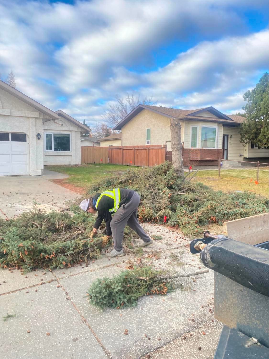 A crew member trimming back overgrown shrubs in a front yard, cut branches piled on the lawn